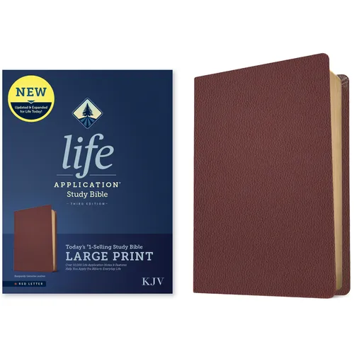 KJV Life Application Study Bible, Third Edition, Large Print (Genuine Leather, Burgundy, Red Letter) - Leather