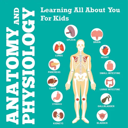Anatomy And Physiology: Learning All About You For Kids - Paperback