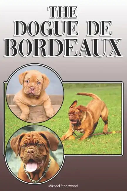 The Dogue de Bordeaux: A Complete and Comprehensive Owners Guide To: Buying, Owning, Health, Grooming, Training, Obedience, Understanding and - Paperback