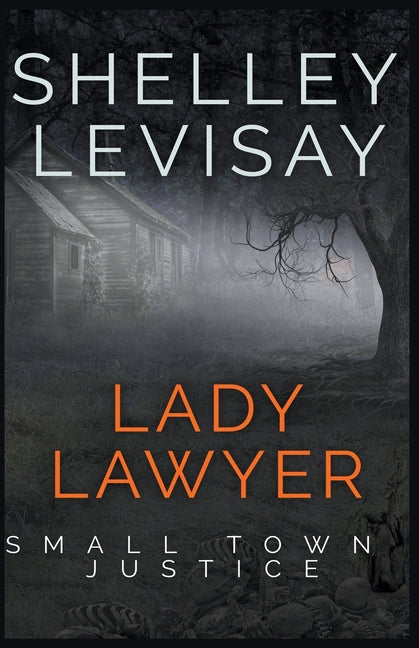 Lady Lawyer: Small Town Justice - Paperback
