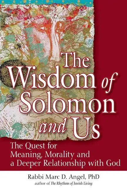 The Wisdom of Solomon and Us: The Quest for Meaning, Morality and a Deeper Relationship with God - Paperback