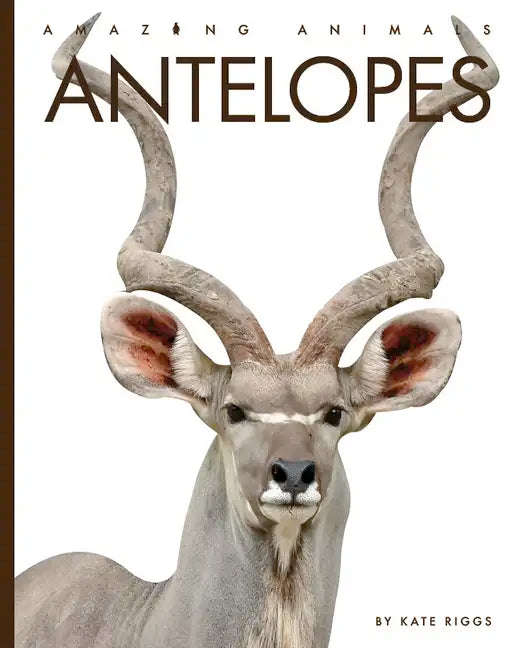 Antelopes - Paperback
