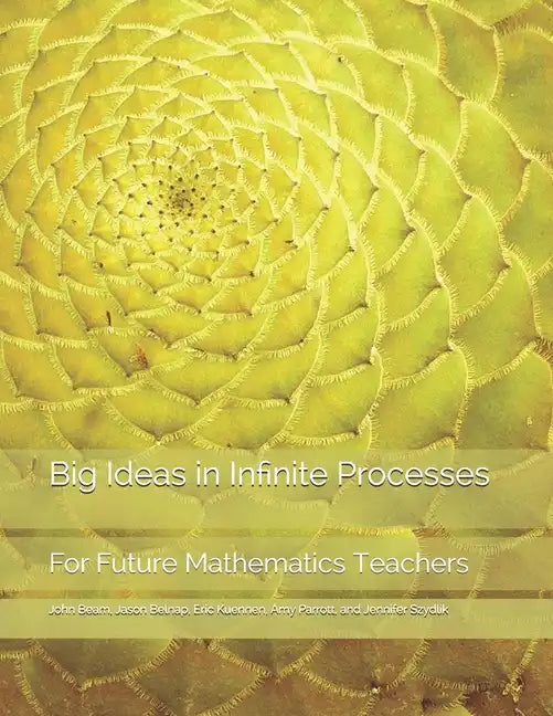 Big Ideas in Infinite Processes: For Future Mathematics Teachers - Paperback