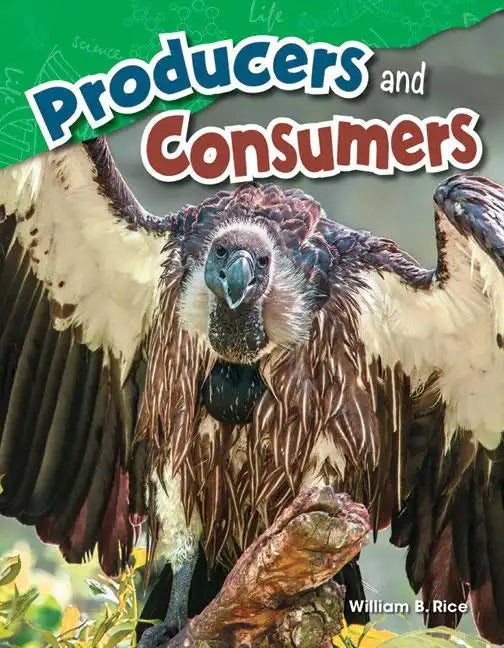 Producers and Consumers - Paperback