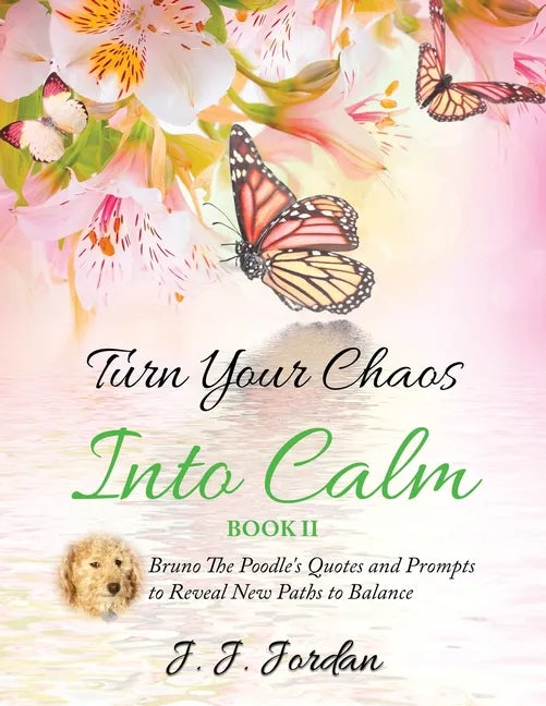 Turn Your Chaos Into Calm - Paperback