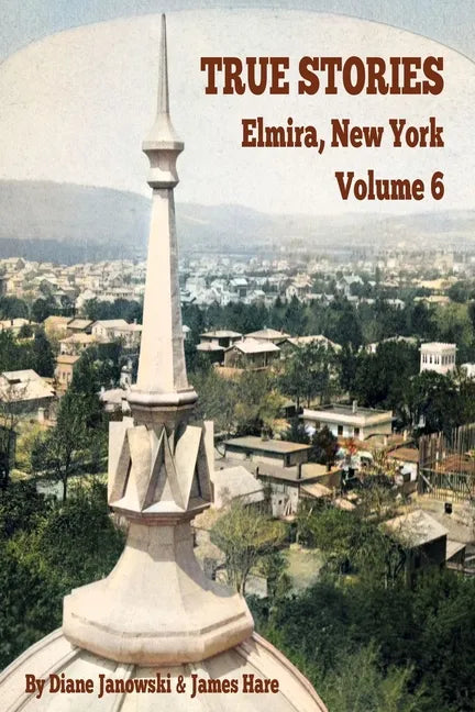True Stories Elmira, New York Volume 6 - Paperback