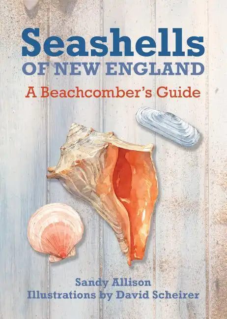 Seashells of New England: A Beachcomber's Guide - Paperback