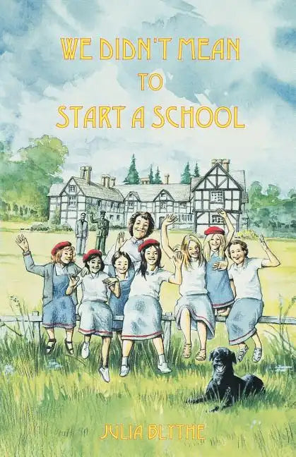 We Didn't Mean to Start A School - Paperback