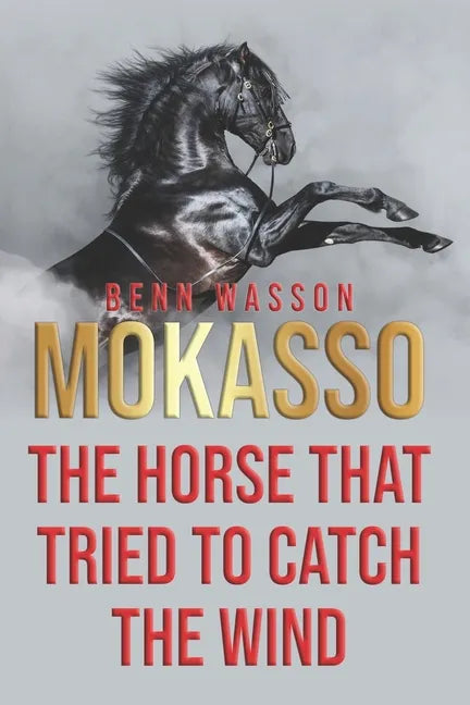 Mokasso, the horse that tried to catch the wind - Paperback