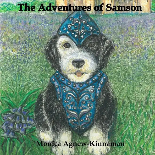 The Adventures of Samson - Paperback