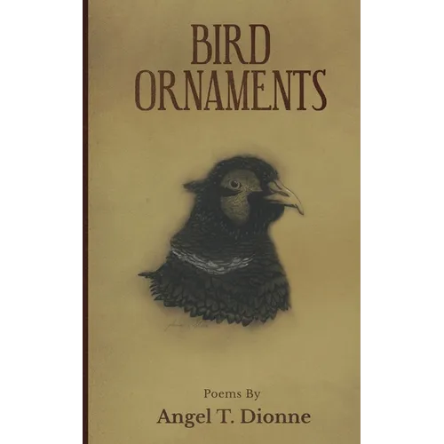 Bird Ornaments - Paperback