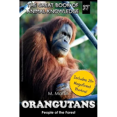Orangutans: People of the Forest - Paperback