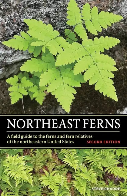 Northeast Ferns: A Field Guide to the Ferns and Fern Relatives of the Northeastern United States - Paperback