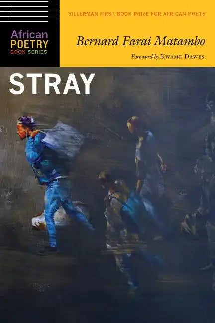 Stray - Paperback