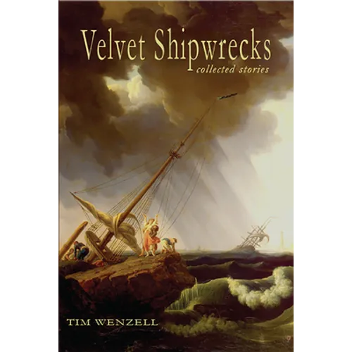 Velvet Shipwrecks: Collected Stories - Paperback