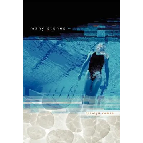 Many Stones - Hardcover