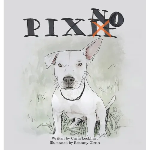 Pixno! - Hardcover