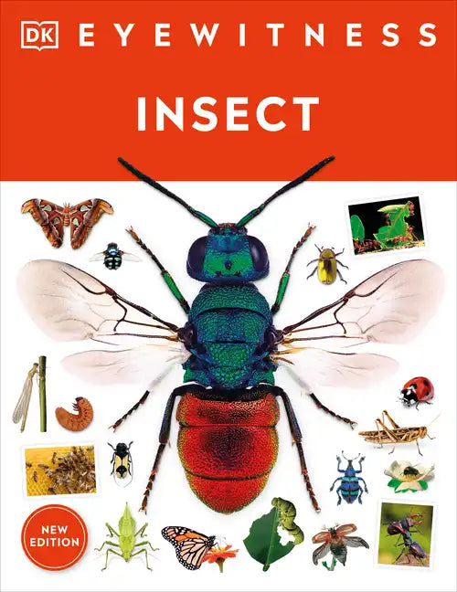 Eyewitness Insect - Paperback