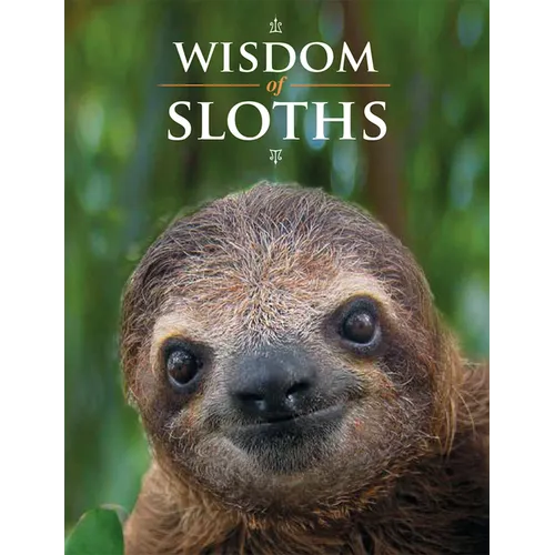 Wisdom of Sloths - Hardcover