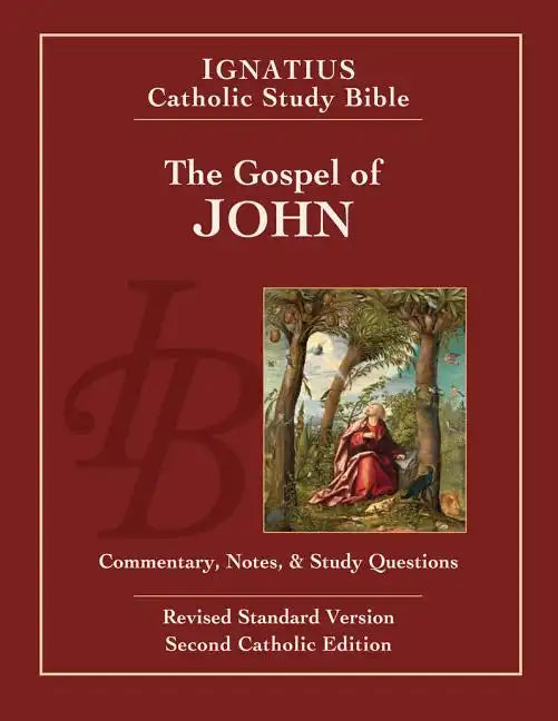 The Gospel of John - Paperback