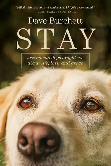 Stay: Lessons My Dogs Taught Me about Life, Loss, and Grace - Paperback