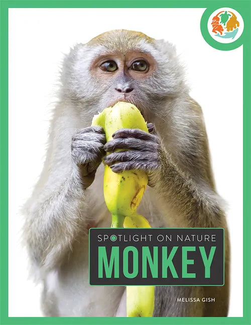 Monkey - Paperback
