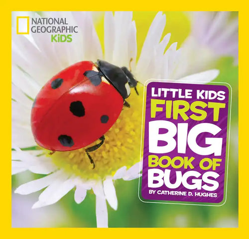 Little Kids First Big Book of Bugs - Hardcover