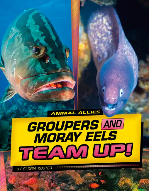 Groupers and Moray Eels Team Up! - Hardcover