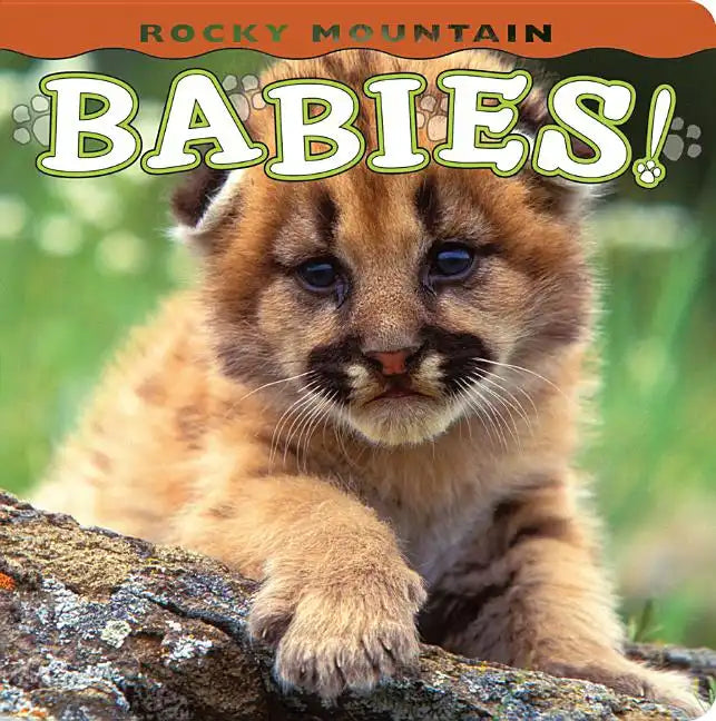 Rocky Mountain Babies! - Board Book