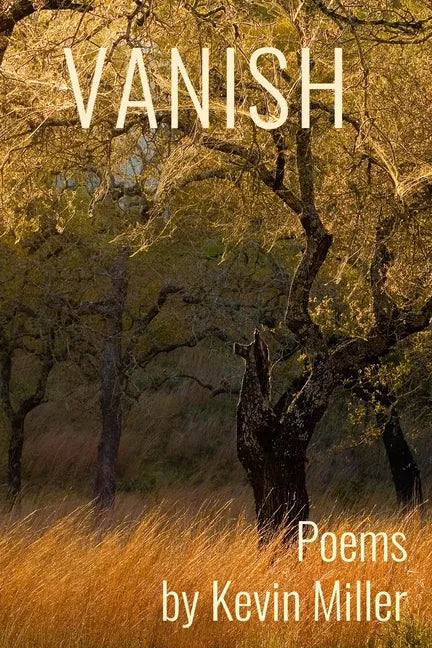 Vanish - Paperback