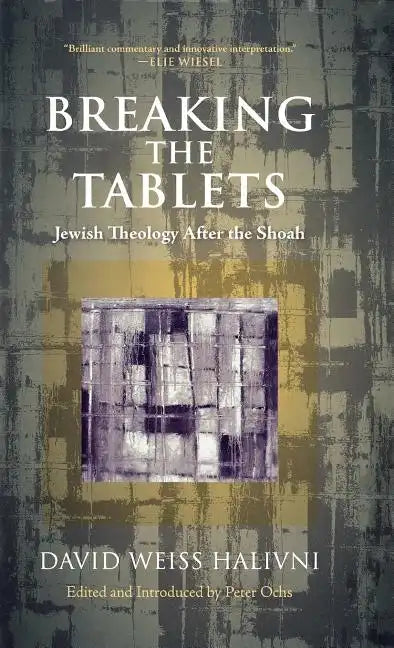 Breaking the Tablets: Jewish Theology After the Shoah - Hardcover
