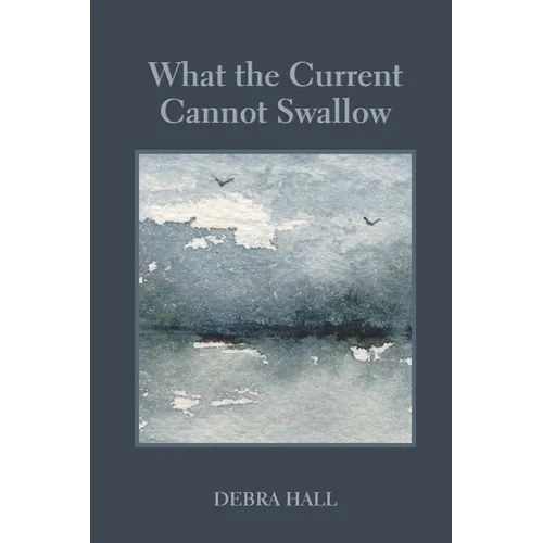 What the Current Cannot Swallow - Paperback