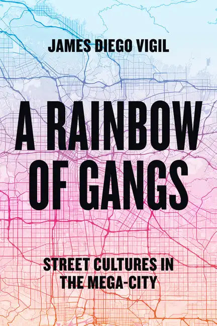 A Rainbow of Gangs: Street Cultures in the Mega-City - Paperback