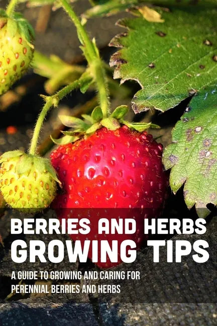 Berries And Herbs Growing Tips: A Guide To Growing And Caring For Perennial Berries And Herbs: Guide To Growing Perennial Herbs - Paperback