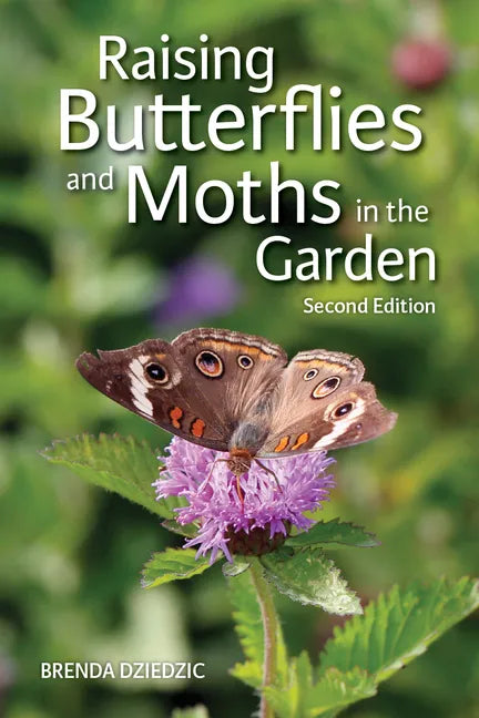Raising Butterflies and Moths in the Garden - Paperback