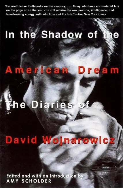 In the Shadow of the American Dream: The Diaries of David Wojnarowicz - Paperback