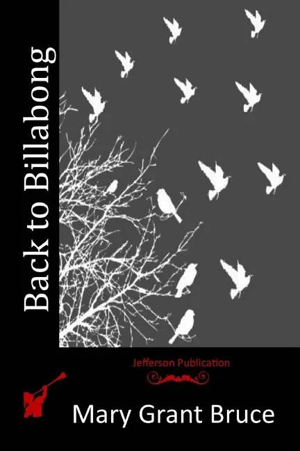 Back to Billabong - Paperback