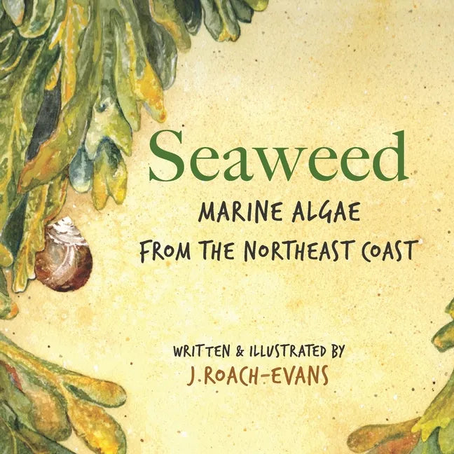Seaweed: Marine Algae from the Northeast Coast - Paperback