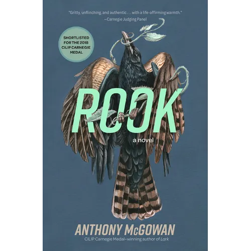 Rook: A Novel Volume 3 - Paperback