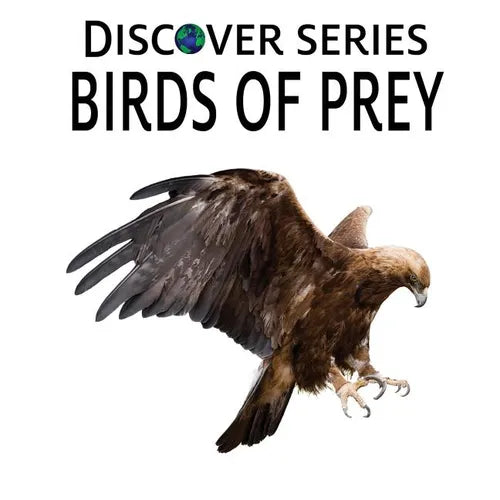 Birds of Prey: Discover Series Picture Book for Children - Paperback
