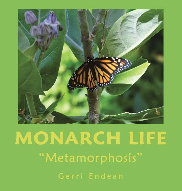 Monarch Life: 
