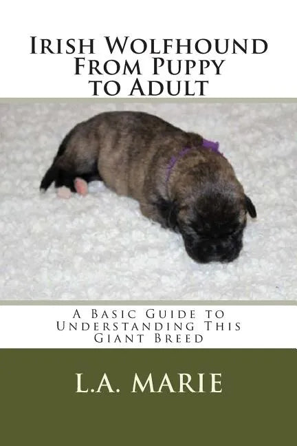 Irish Wolfhound From Puppy to Adult: A Basic Guide to Understanding This Giant Breed - Paperback