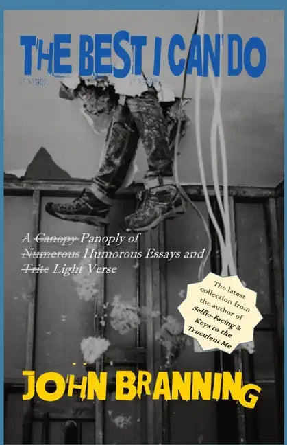 The Best I Can Do - Paperback