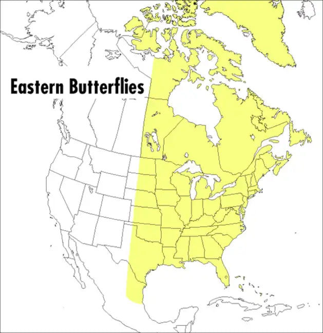 A Peterson Field Guide to Eastern Butterflies - Paperback