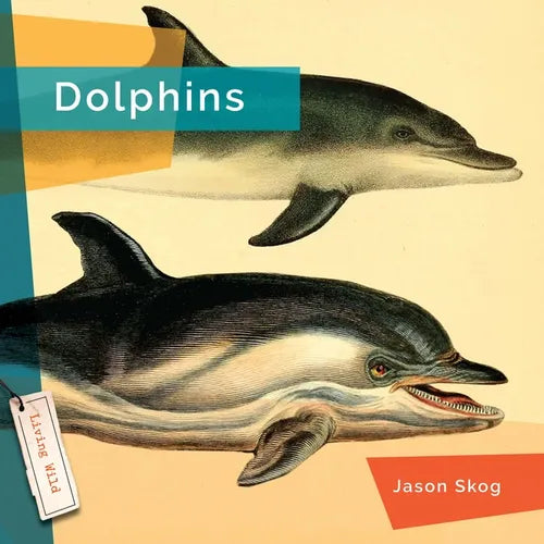Dolphins - Library Binding