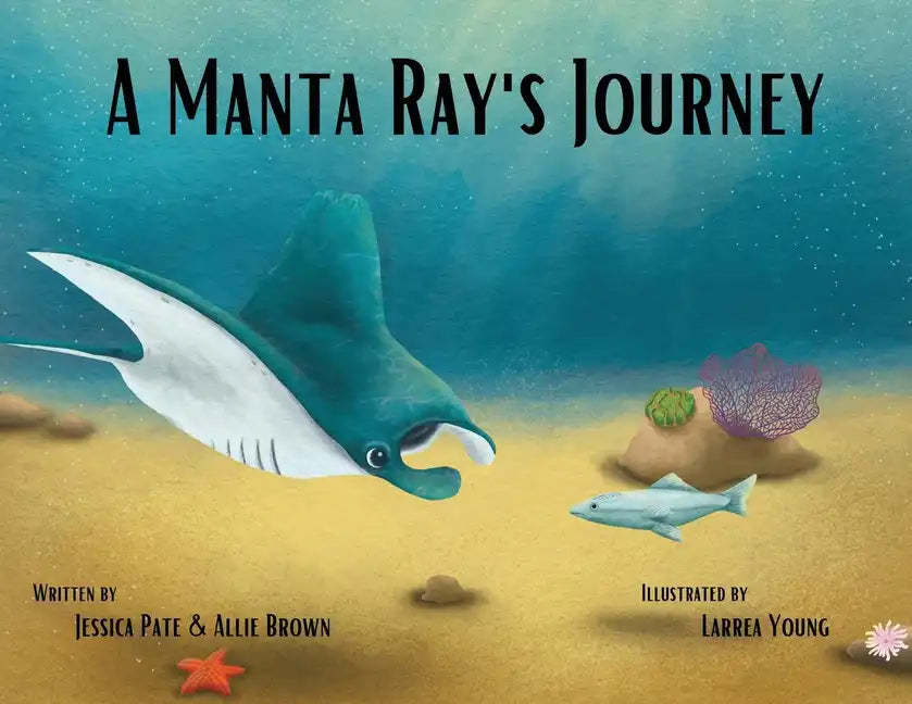A Manta Ray's Journey - Paperback