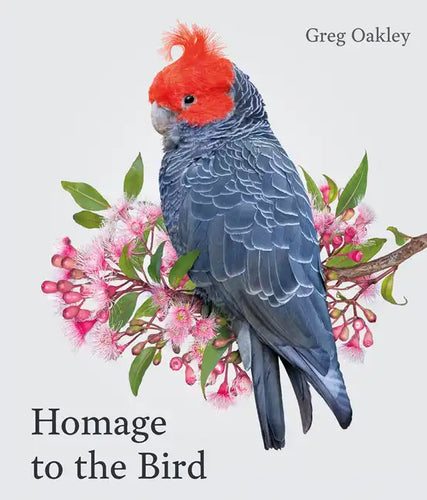 Homage to the Bird - Hardcover