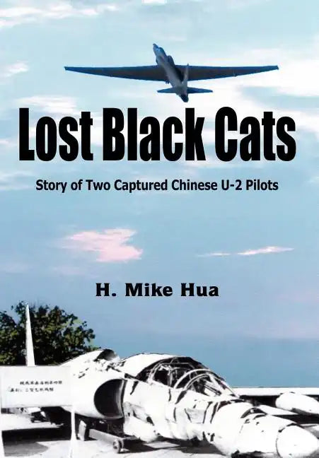 Lost Black Cats - Hardcover