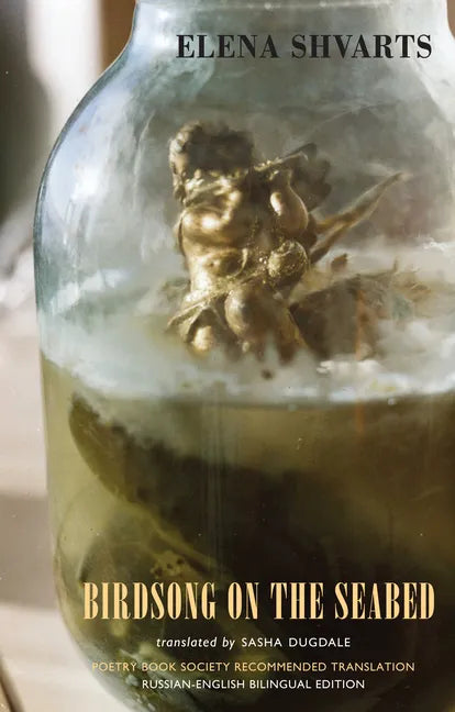 Birdsong on the Seabed - Paperback