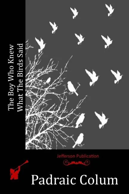 The Boy Who Knew What The Birds Said - Paperback